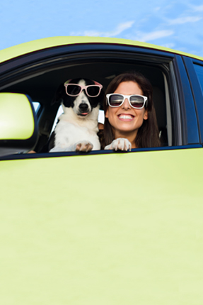 lady and dog with sunglasses